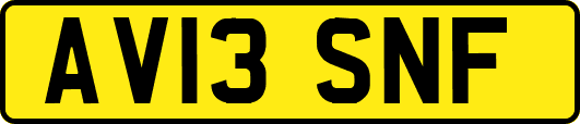 AV13SNF