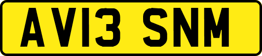AV13SNM