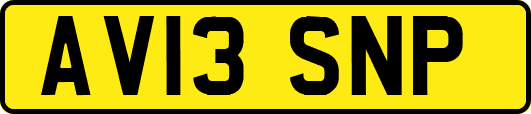 AV13SNP