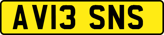 AV13SNS
