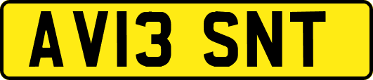 AV13SNT