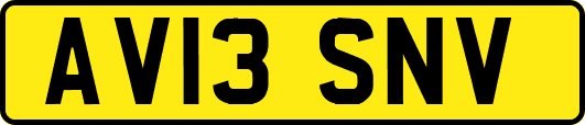 AV13SNV