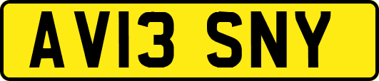 AV13SNY