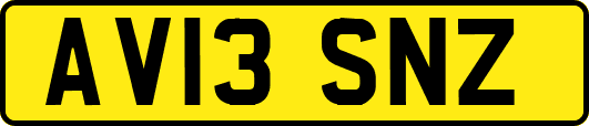 AV13SNZ