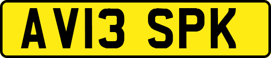 AV13SPK