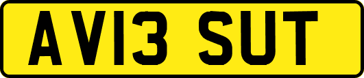 AV13SUT
