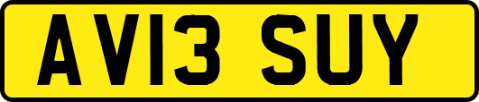 AV13SUY