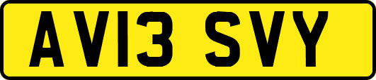 AV13SVY