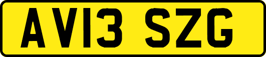AV13SZG