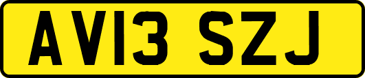 AV13SZJ