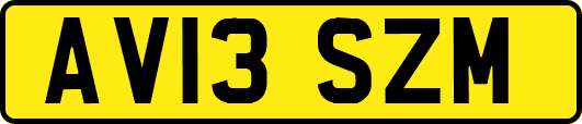 AV13SZM