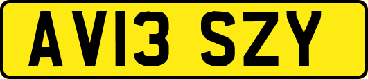 AV13SZY