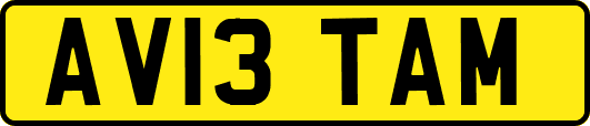 AV13TAM