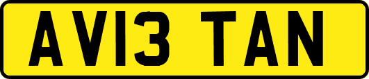 AV13TAN