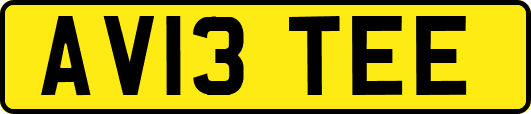 AV13TEE