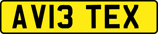 AV13TEX