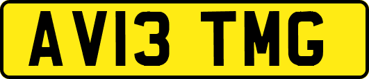 AV13TMG