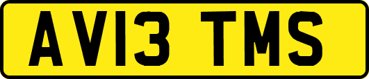 AV13TMS