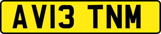 AV13TNM