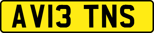 AV13TNS