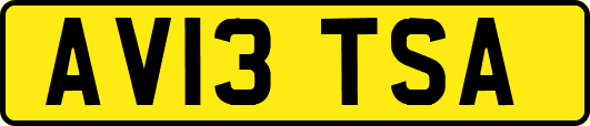 AV13TSA