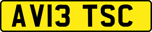 AV13TSC