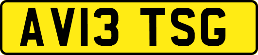 AV13TSG