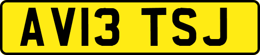 AV13TSJ