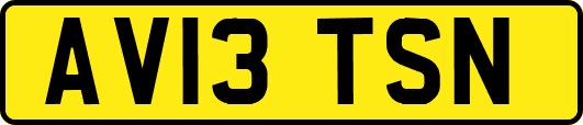 AV13TSN