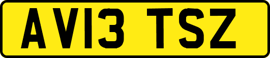 AV13TSZ