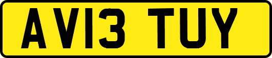 AV13TUY