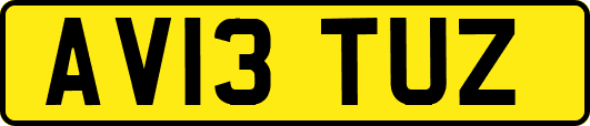 AV13TUZ