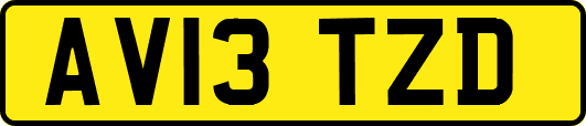 AV13TZD
