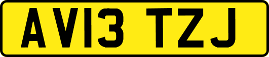 AV13TZJ