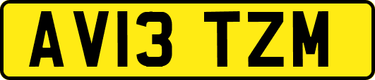 AV13TZM