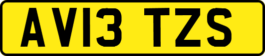 AV13TZS