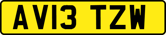 AV13TZW