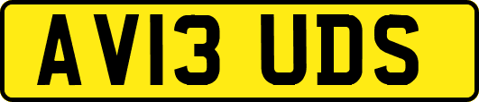 AV13UDS