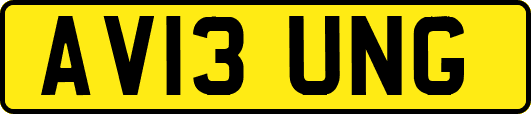 AV13UNG
