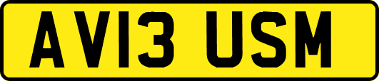 AV13USM