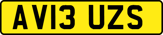 AV13UZS