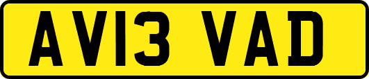 AV13VAD