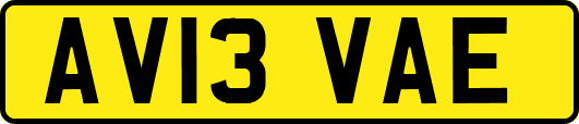 AV13VAE