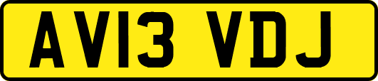 AV13VDJ