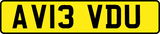 AV13VDU