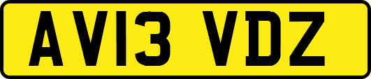 AV13VDZ