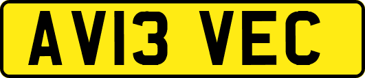 AV13VEC