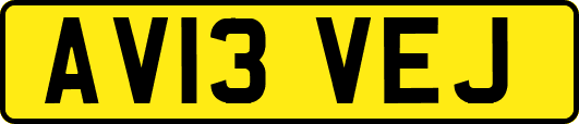 AV13VEJ