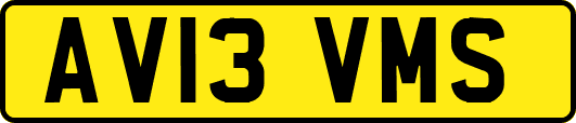 AV13VMS