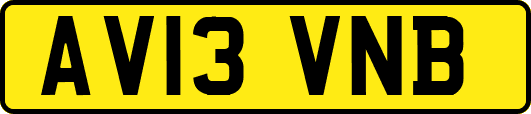 AV13VNB